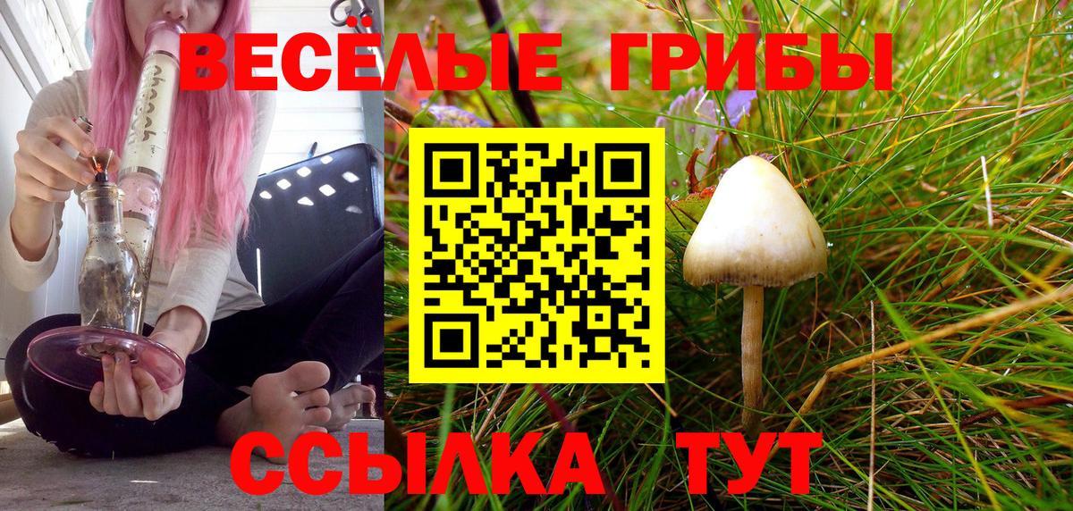 Псилоцибиновые грибы Psilocybe Азнакаево