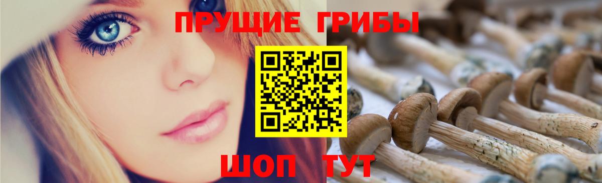 Псилоцибиновые грибы Psilocybe  Вход с VPN  Азнакаево 